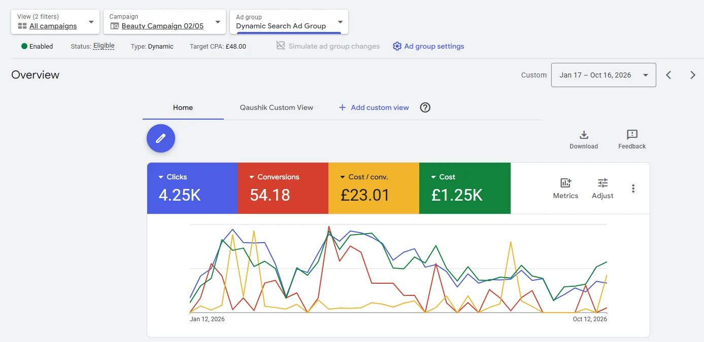 Dynamic Search Ad group, 17 January–16 October 2026; subgroup results are included within wider account reporting.